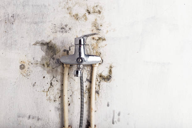 Best Residential Mold Removal  in Radcliff, KY