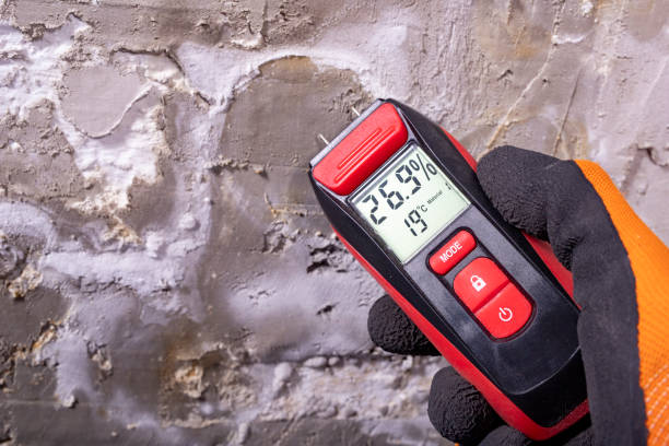 Best Mold Remediation Experts  in Radcliff, KY