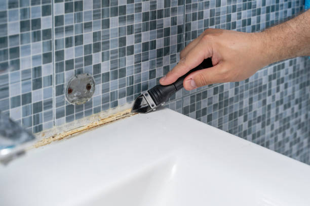 Best Mold Removal Company Near Me  in Radcliff, KY